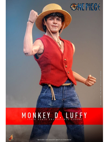 One Piece (Netflix) figurine 1/6 Monkey D....