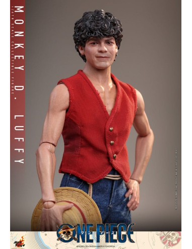 One Piece (Netflix) figurine 1/6 Monkey D....