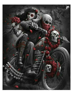 Plaque décorative fantastique Motard 20 X 30 cm