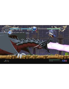 Record Of Lodoss War : Deedlit In Wonder Labyrinth PS4 2