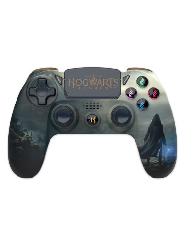 Manette PS4 Hogwarts Legacy
